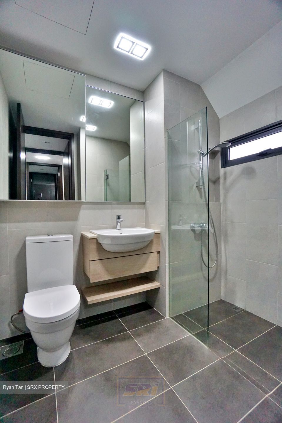Terrene At Bukit Timah (D21), Condominium #580806851